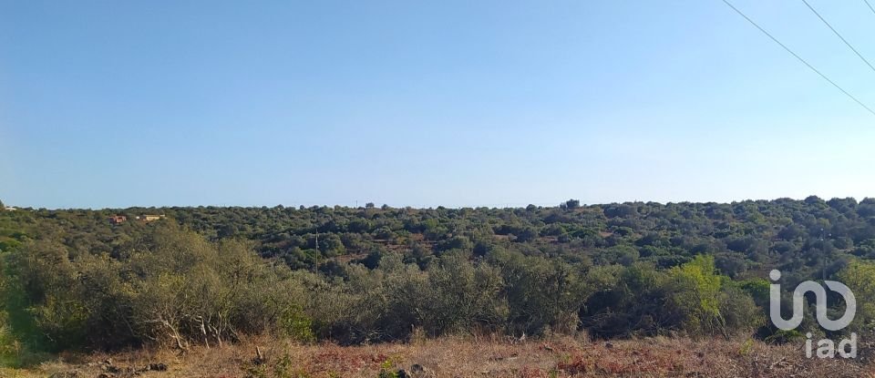 Terrain Loisirs à Bensafrim e Barão de São João de 6 240 m²