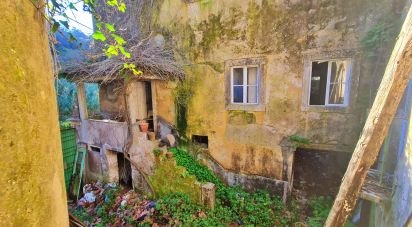 Maison rustique T4 à Sintra (Santa Maria e São Miguel, São Martinho e São Pedro de Penaferrim) de 1 254 m²