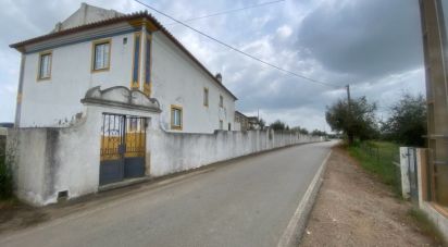 Maison T3 à São Saturnino de 626 m²