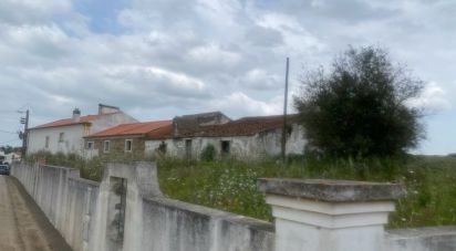 Maison T3 à São Saturnino de 626 m²