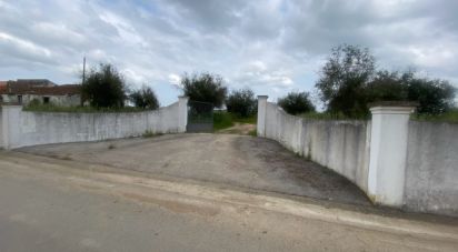 Maison T3 à São Saturnino de 626 m²