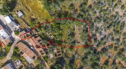 Maison T2 à Alte de 901 m²