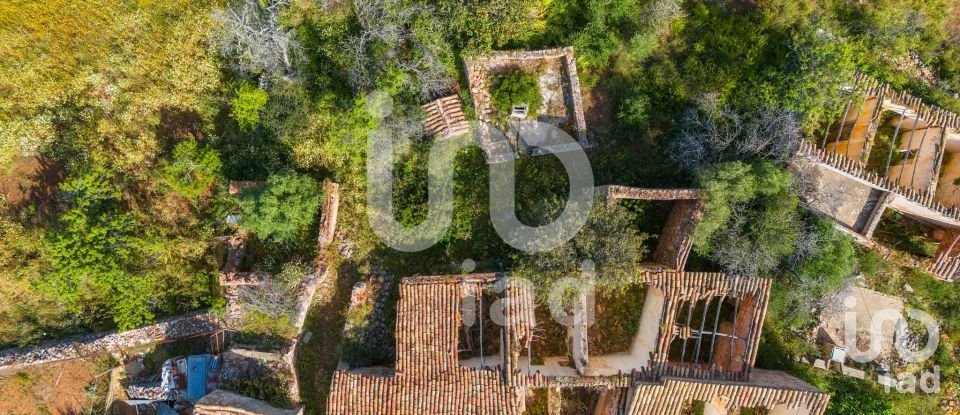 Maison T2 à Alte de 901 m²