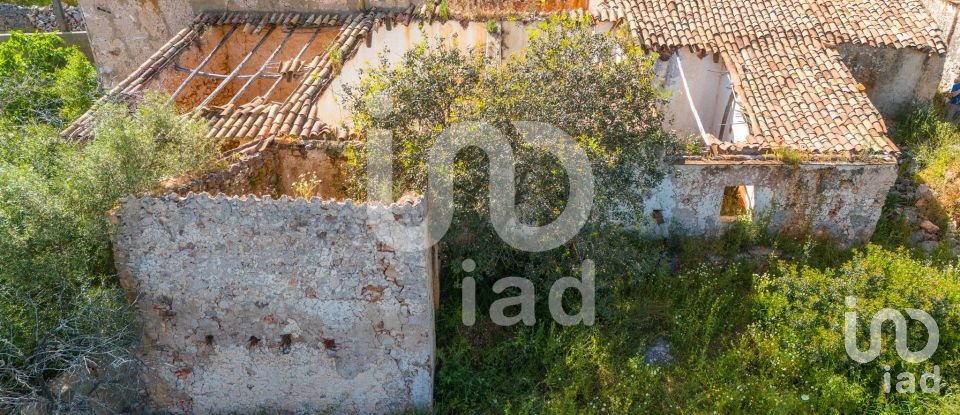 Maison T2 à Alte de 901 m²