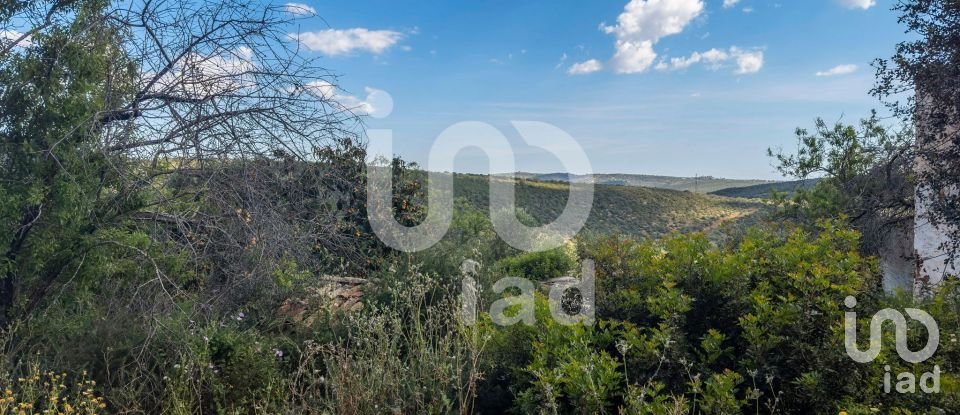 Maison T2 à Alte de 901 m²