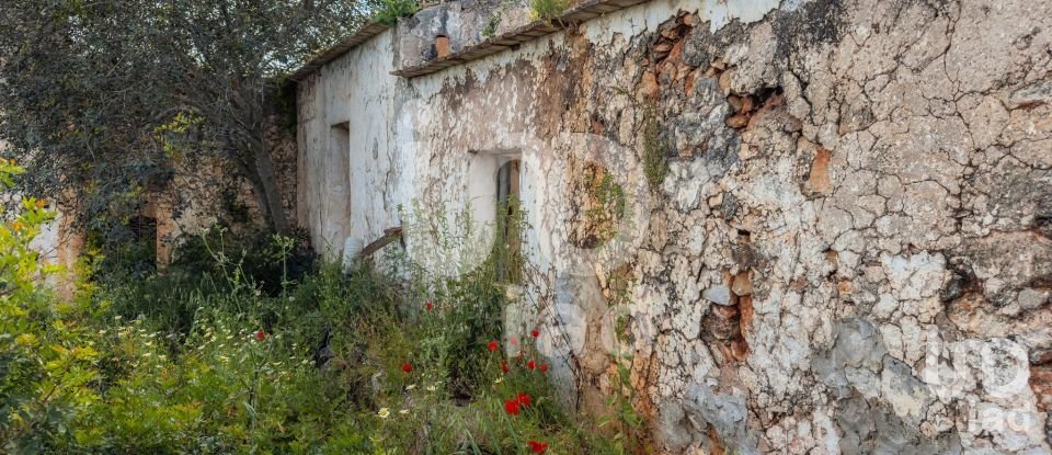 Maison T2 à Alte de 901 m²