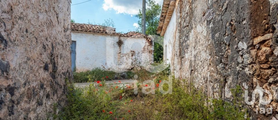 Maison T2 à Alte de 901 m²