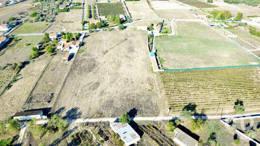 Farm land in Quinta do Anjo of 17,720 m²