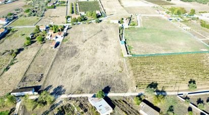 Farm land in Quinta do Anjo of 17,720 m²