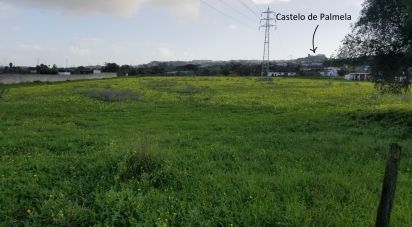 Terreno Agrícola em Quinta do Anjo de 17 720 m²