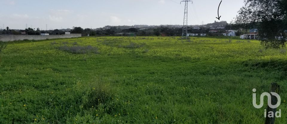 Farm land in Quinta do Anjo of 17,720 m²