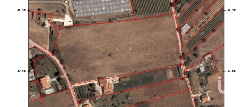 Farm land in Quinta do Anjo of 17,720 m²