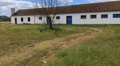Ferme T3 à Couço de 299 m²