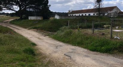 Ferme T3 à Couço de 299 m²