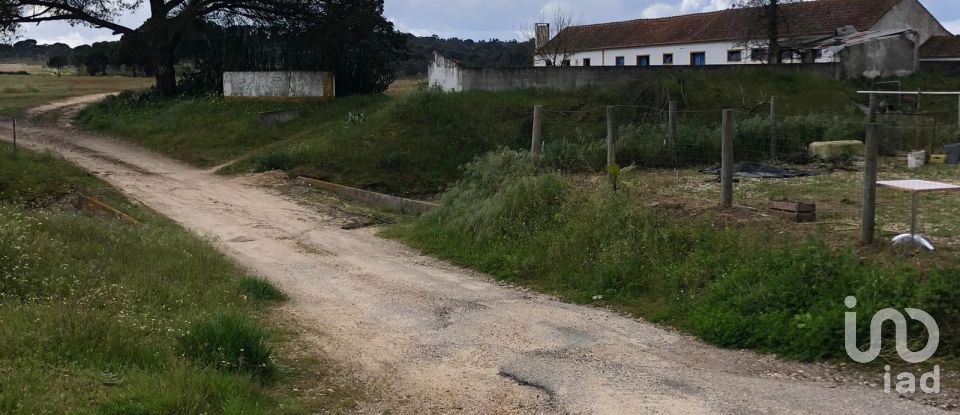 Ferme T3 à Couço de 299 m²