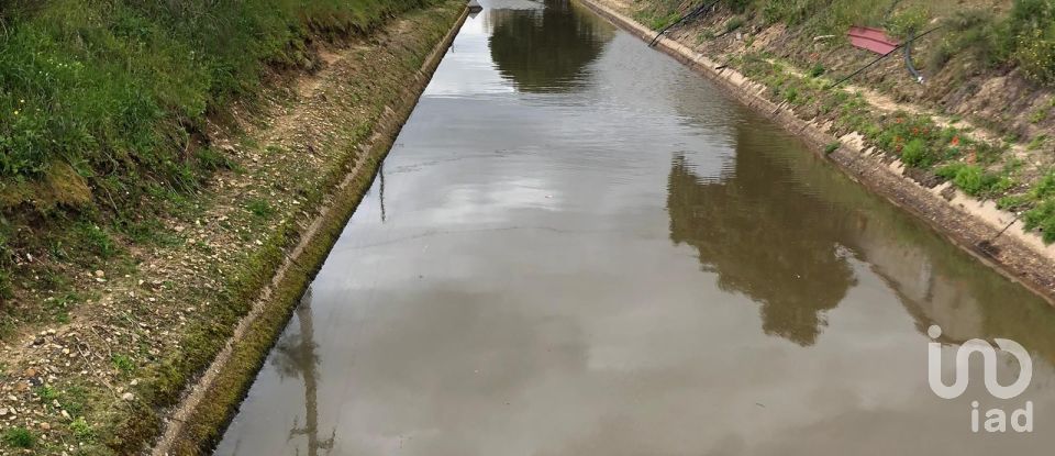 Ferme T3 à Couço de 299 m²