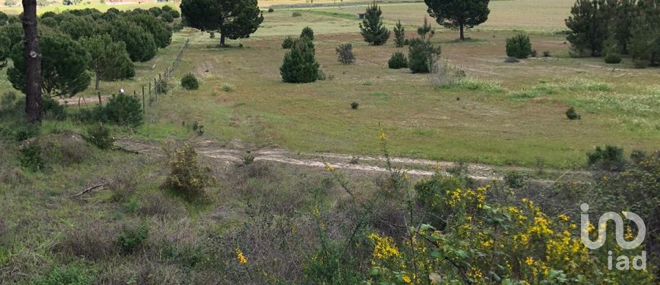 Ferme T3 à Couço de 299 m²