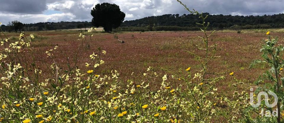 Ferme T3 à Couço de 299 m²