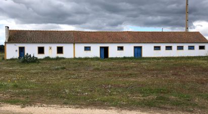 Ferme T3 à Couço de 299 m²