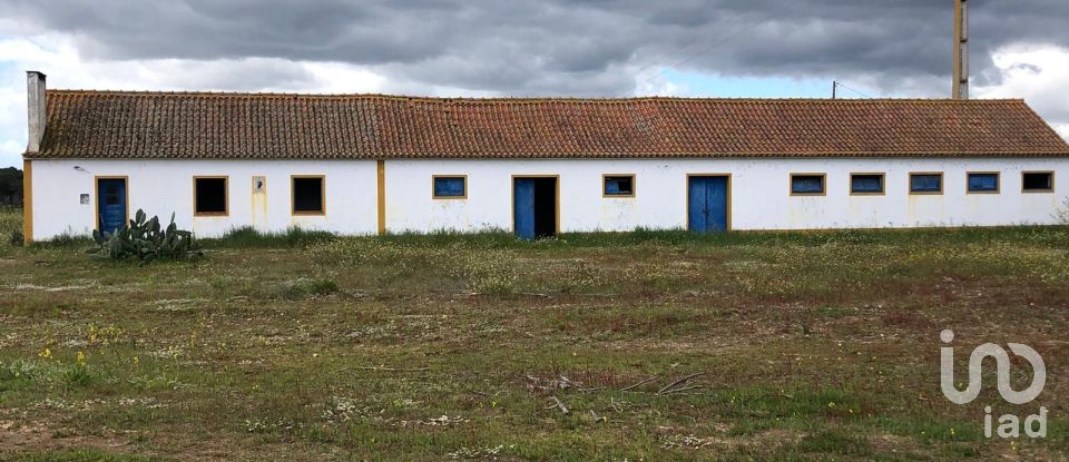 Ferme T3 à Couço de 299 m²