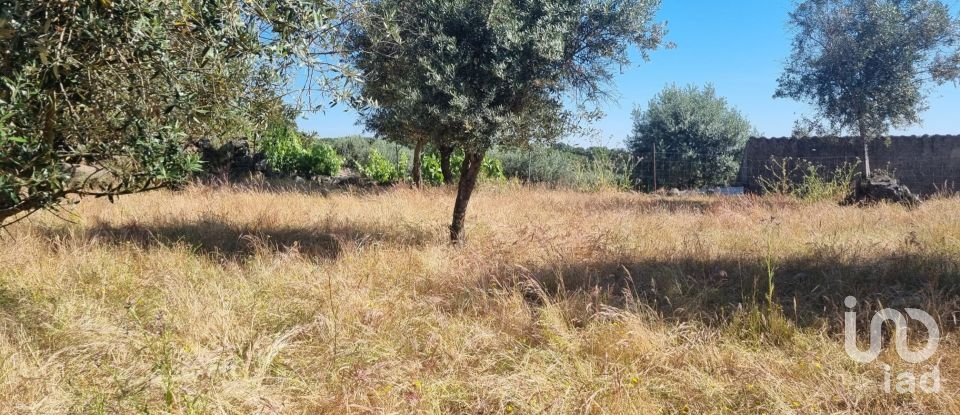 Traditional house T6 in Nossa Senhora da Graça de Póvoa e Meadas of 216 m²