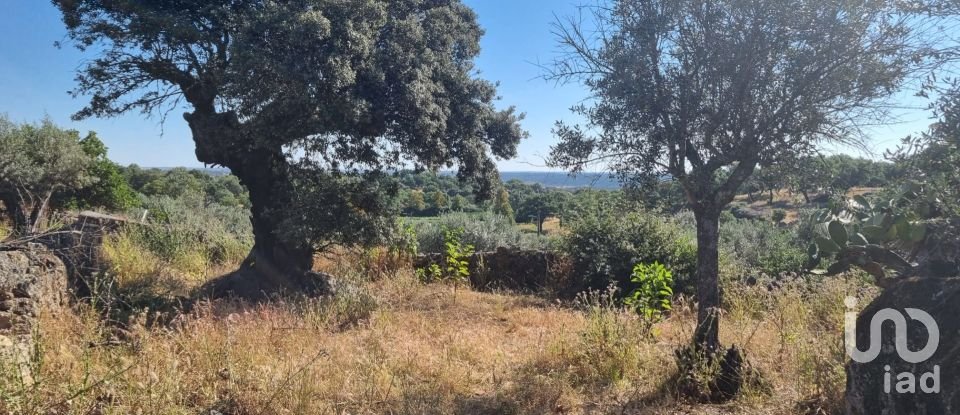 Traditional house T6 in Nossa Senhora da Graça de Póvoa e Meadas of 216 m²