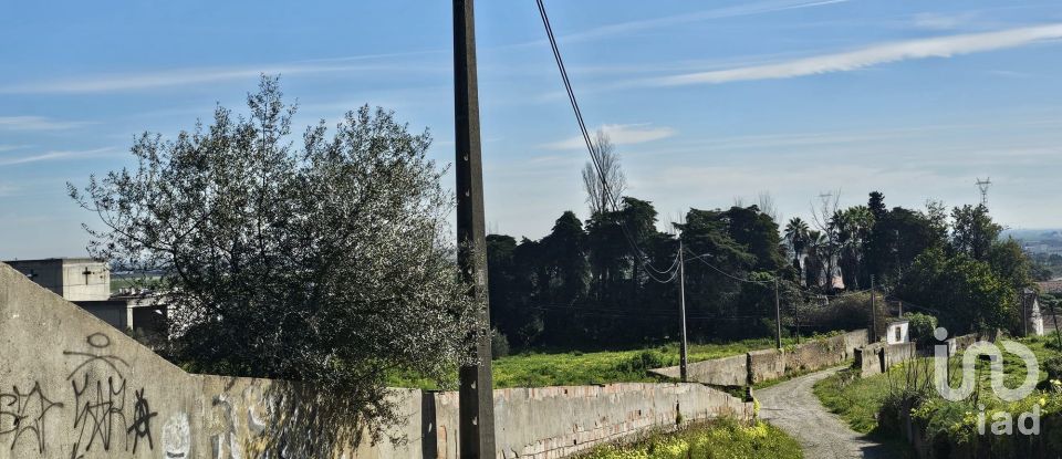 Land in Vila Franca de Xira of 23,660 m²