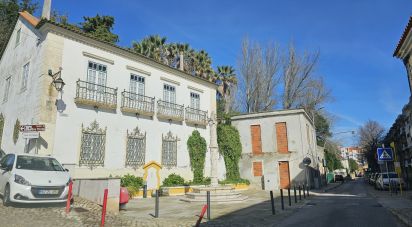 Terrain à Vila Franca de Xira de 23 660 m²