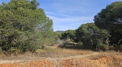 Land in Quarteira of 19,350 m²