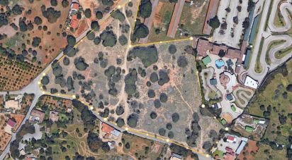 Land in Quarteira of 38,468 m²