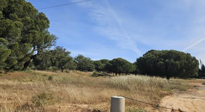 Land in Quarteira of 38,468 m²