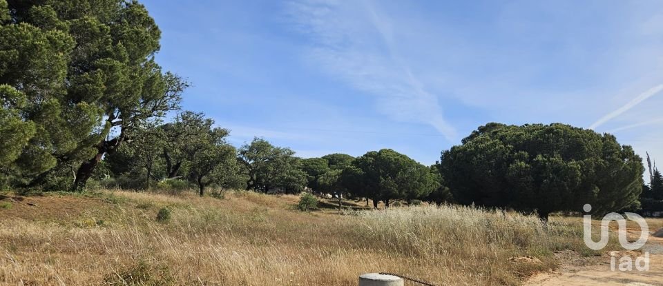 Land in Quarteira of 38,468 m²