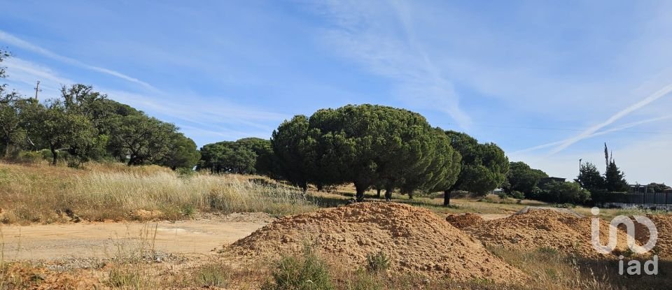 Land in Quarteira of 38,468 m²