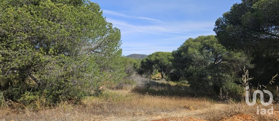 Land in Quarteira of 38,468 m²