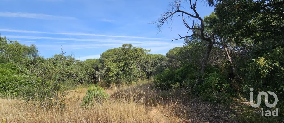 Land in Quarteira of 38,468 m²