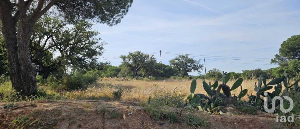 Land in Quarteira of 38,468 m²