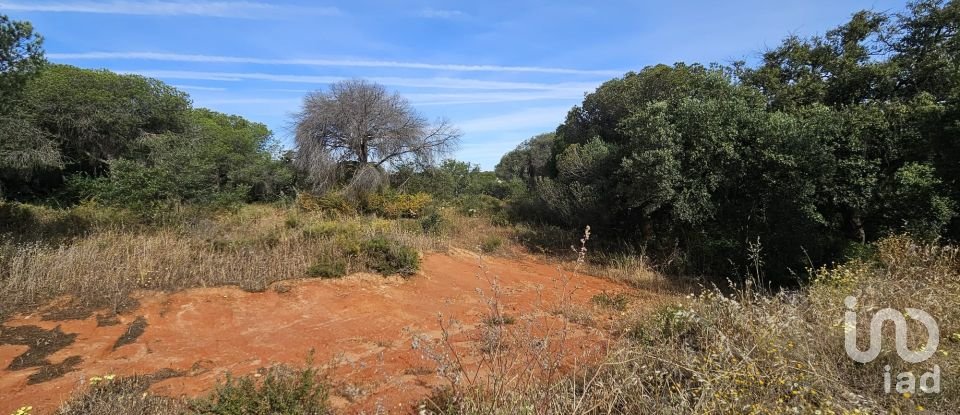 Land in Quarteira of 38,468 m²