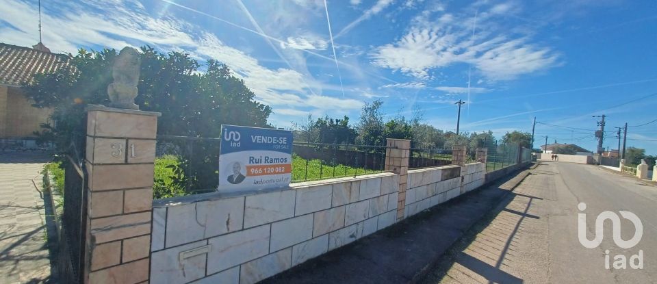 Village house T3 in Rio de Moinhos of 127 m²