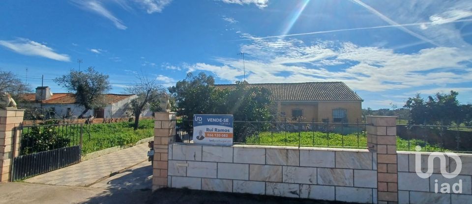 Village house T3 in Rio de Moinhos of 127 m²