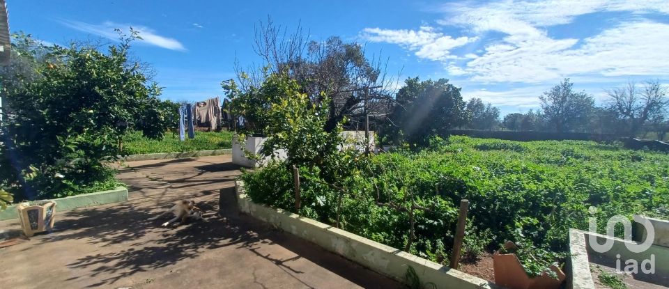 Village house T3 in Rio de Moinhos of 127 m²