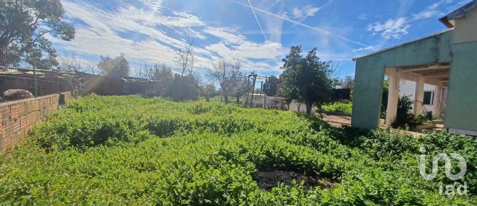 Village house T3 in Rio de Moinhos of 127 m²