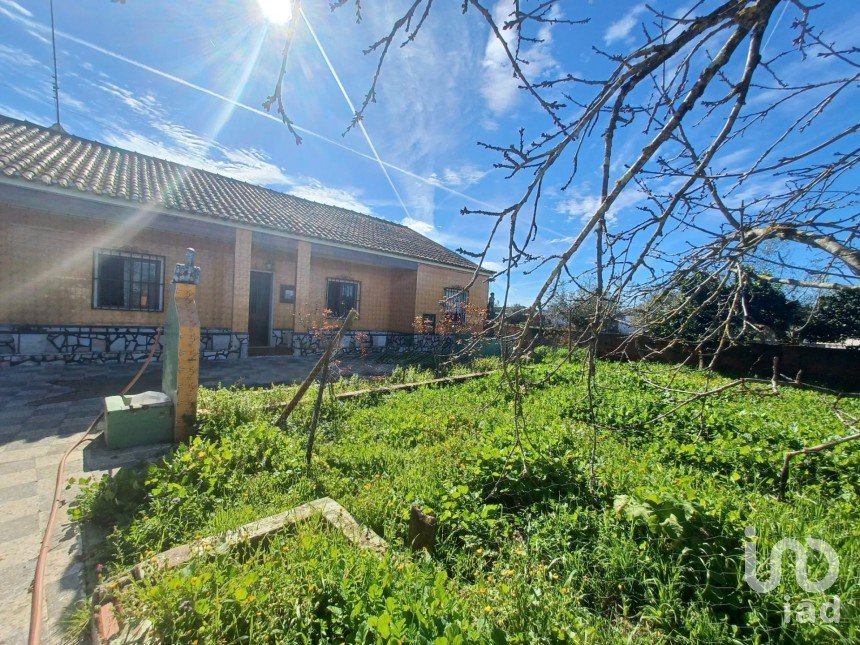 Village house T3 in Rio de Moinhos of 127 m²