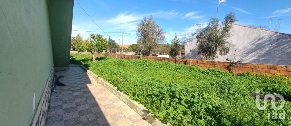 Village house T3 in Rio de Moinhos of 127 m²