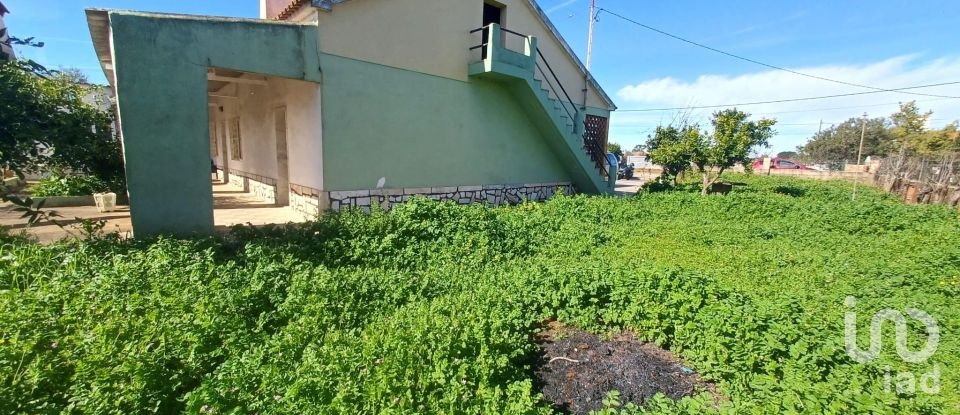 Village house T3 in Rio de Moinhos of 127 m²