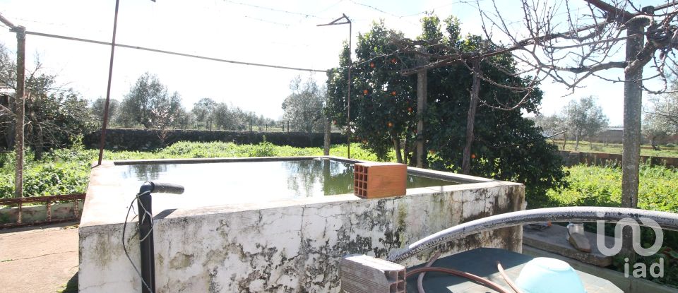 Village house T3 in Rio de Moinhos of 127 m²