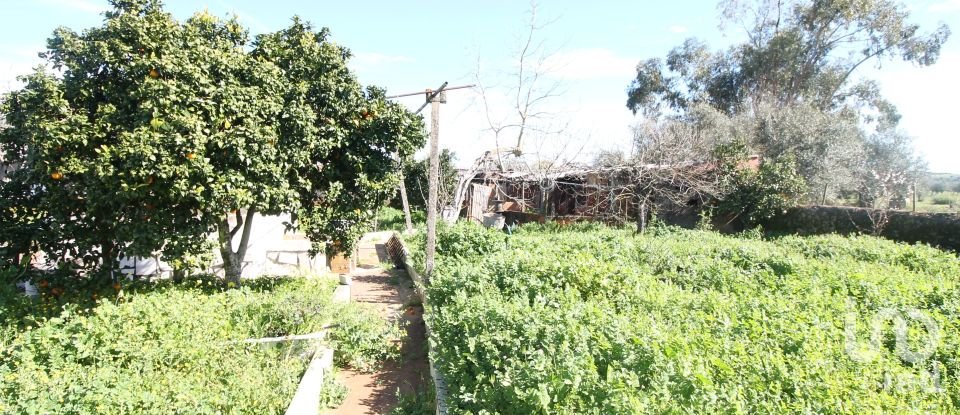 Village house T3 in Rio de Moinhos of 127 m²