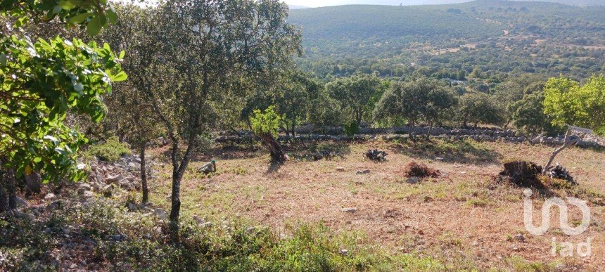 Land in Loulé (São Sebastião) of 3,160 m²