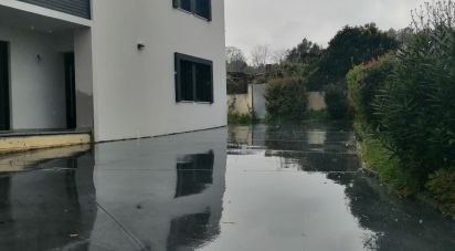 Gîte T4 à Vale de Anta de 225 m²