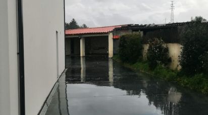 Gîte T4 à Vale de Anta de 225 m²