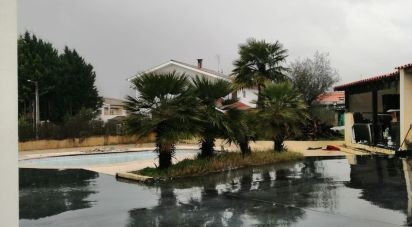 Gîte T4 à Vale de Anta de 225 m²